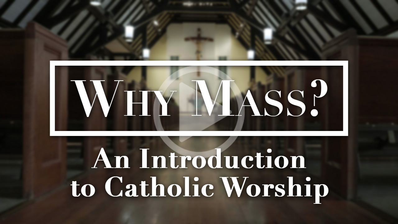 why-should-i-go-to-mass